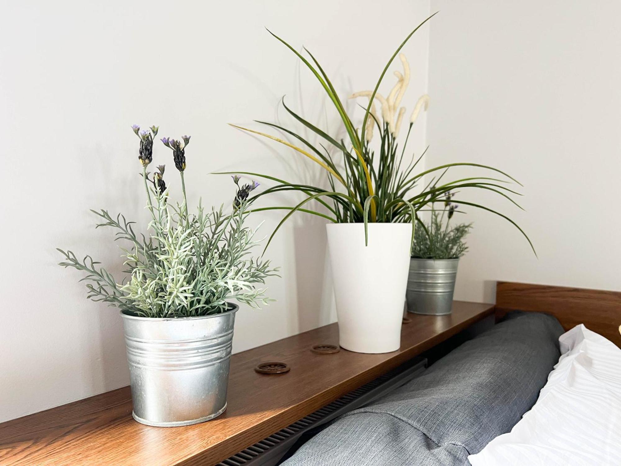 3D Szlak 77 Apartament Krakov Exteriér fotografie